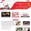 Theme wordpress bảo hiểm daichi
