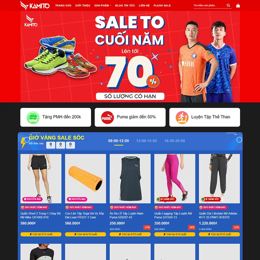Theme wordpress bán giày dép